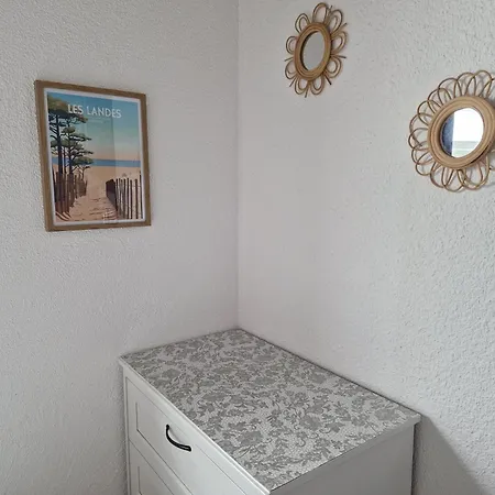 Vue Dunes & Ocean Appart Cosy A 400M De La Plage Lägenhet *