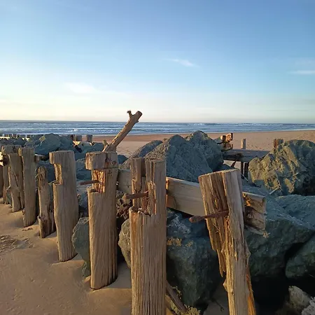 Vue Dunes & Ocean Appart Cosy A 400M De La Plage *
