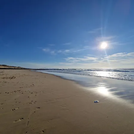 Lägenhet Vue Dunes & Ocean Appart Cosy A 400M De La Plage *