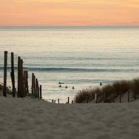 Vue Dunes & Ocean Appart Cosy A 400M De La Plage Lägenhet Seignosse